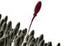 The alarming problem with misshapen sperm